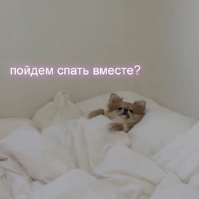 Кис кис — стикер для MAX