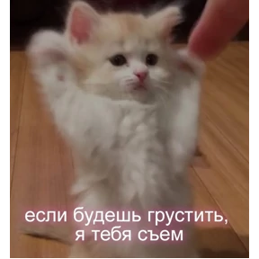 Кис кис — стикер для MAX