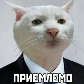 Квазимодо — стикер для MAX