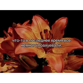 жизнь — стикер для MAX
