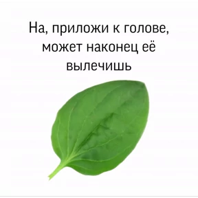 жизнь — стикер для MAX