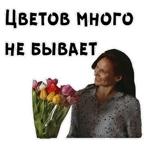 Сваты — стикер для MAX