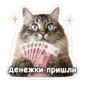 Кузенька — стикер для MAX