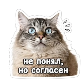 Кузенька — стикер для MAX