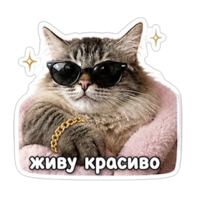 Кузенька — стикер для MAX