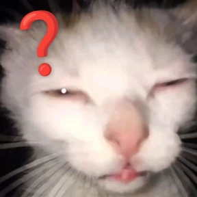 Коты — стикер для MAX