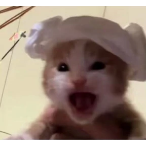 Коты — стикер для MAX
