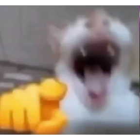 Коты — стикер для MAX