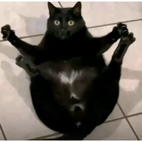 Коты — стикер для MAX