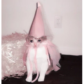 Коты — стикер для MAX