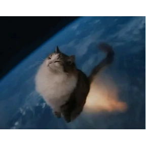 Коты — стикер для MAX