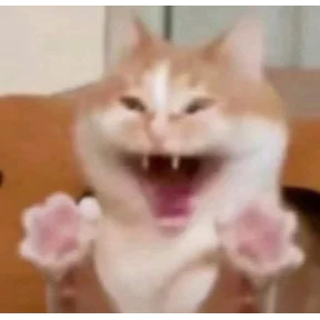 Коты — стикер для MAX