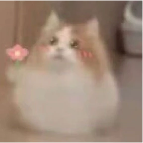 Коты — стикер для MAX