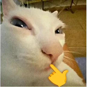 Коты — стикер для MAX