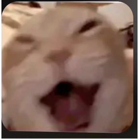 Коты — стикер для MAX