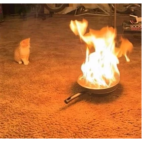 Коты — стикер для MAX