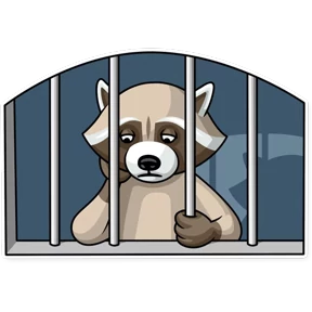 Криминальный Енот — стикер для MAX