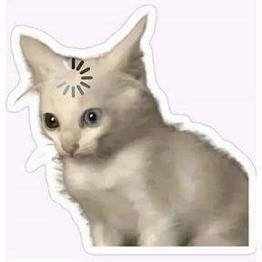 Кошаки — стикер для MAX