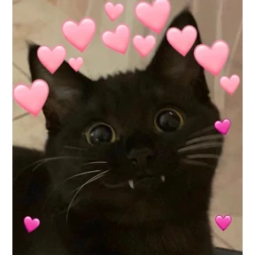 Кошаки — стикер для MAX