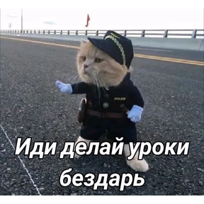 Кошаки — стикер для MAX