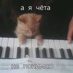Кошаки — стикер для MAX