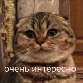 Кошаки — стикер для MAX