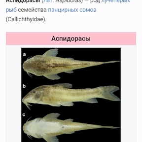 Абвг — стикер для MAX