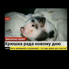 Абвг — стикер для MAX