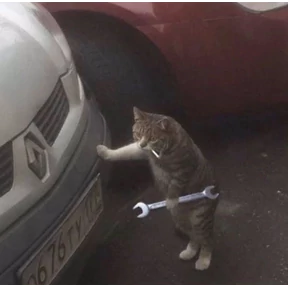 Коты — стикер для MAX