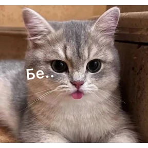 Муд — стикер для MAX
