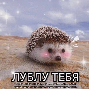 Муд — стикер для MAX