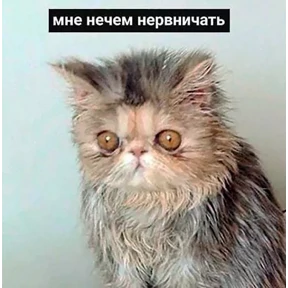 Муд — стикер для MAX