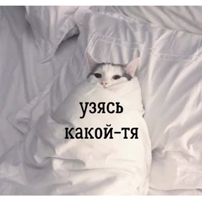 Муд — стикер для MAX