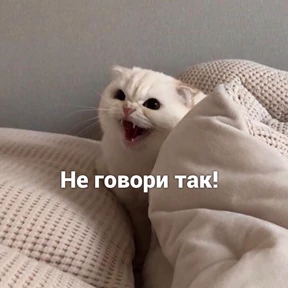 Муд — стикер для MAX