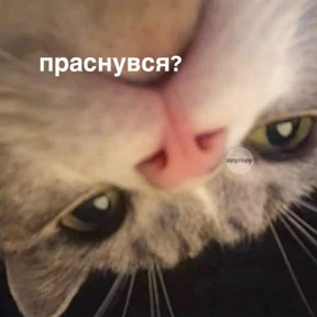 Муд — стикер для MAX