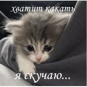 Муд — стикер для MAX