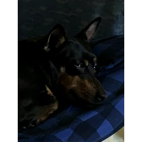 Мои — стикер для MAX