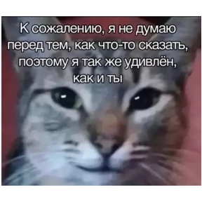 Ответ на серьёзный вопрос — стикер для MAX