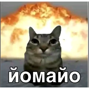 твииии — стикер для MAX