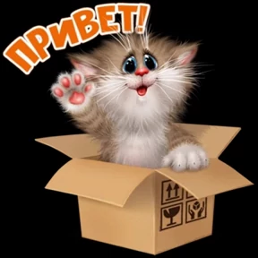 Стикерпак Мура для мессенджера MAX