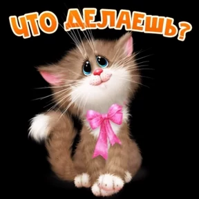 Мура — стикер для MAX