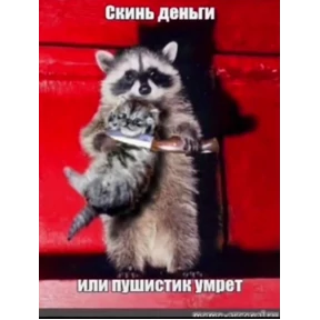Сс — стикер для MAX
