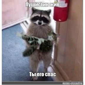 Сс — стикер для MAX