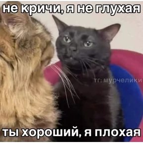 Сс — стикер для MAX