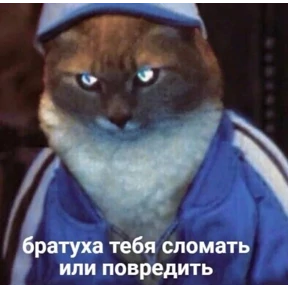 Сс — стикер для MAX