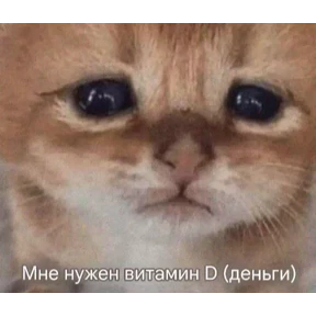Сс — стикер для MAX