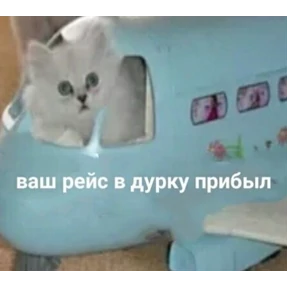 На случай важных переговоров — стикер для MAX
