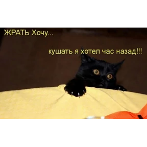 Разная хрень — стикер для MAX