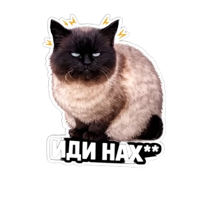 Разная хрень — стикер для MAX