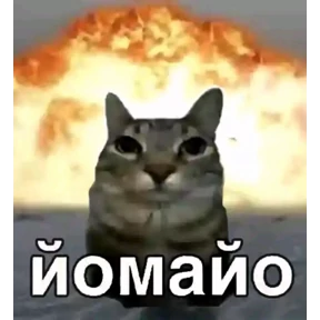 slvkml — стикер для MAX